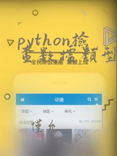 python检查数据类型