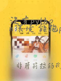 没有python环境 能跑python程序吗