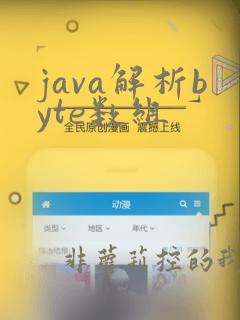 java解析byte数组