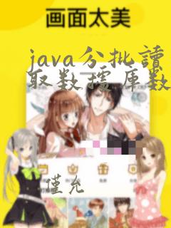 java分批读取数据库数据