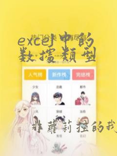 excel中的数据类型