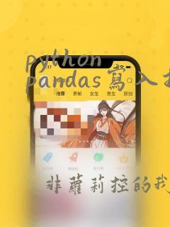python pandas写入指定列