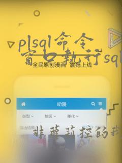 plsql命令窗口执行sql语句