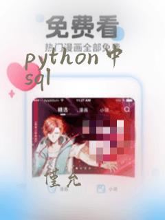 python中sql