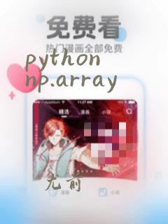python np.array