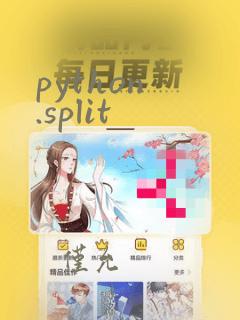 python .split