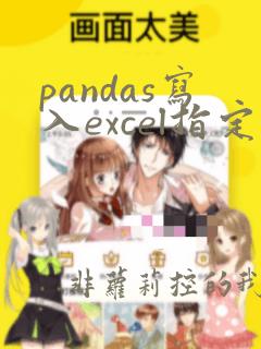 pandas写入excel指定单元格