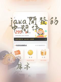 java开发的中间件