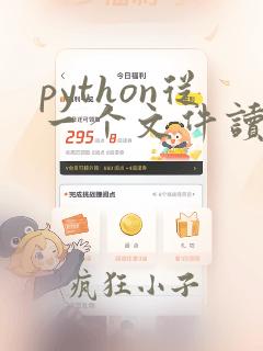 python从一个文件读出写入另一个文件