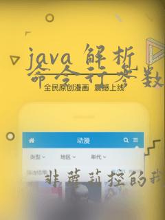 java 解析命令行参数