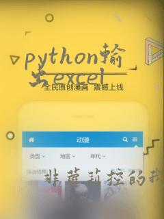 python输出excel