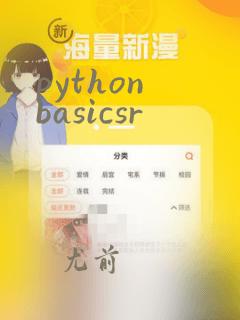 python basicsr