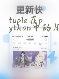 tuple在python中的用法