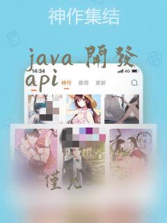 java 开发api