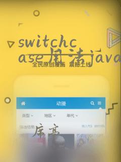 switchcase用法java
