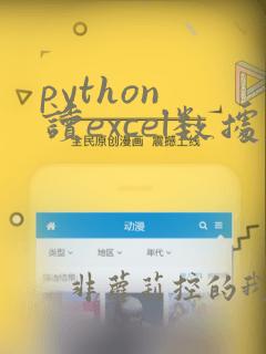 python 读excel数据