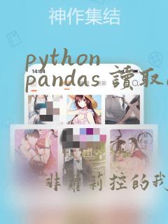 python pandas 读取excel每一行