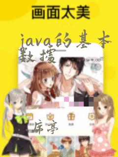 java的基本数据