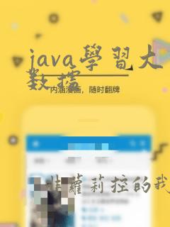 java学习大数据
