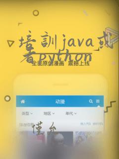 培训java或者python