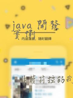 java 开发实例