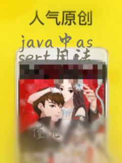 java中assert用法