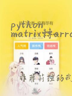 python matrix转array
