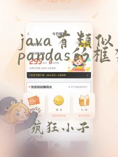 java有类似pandas的框架吗