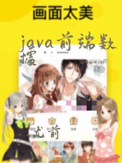 java前端数据