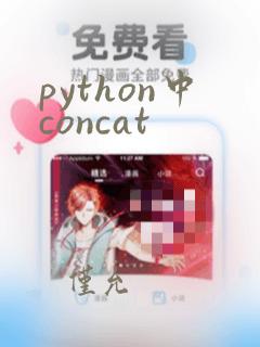 python中concat