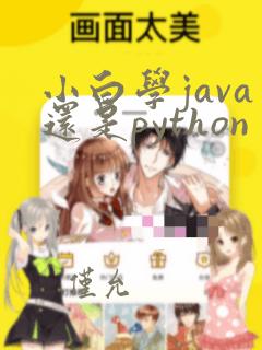 小白学java还是python