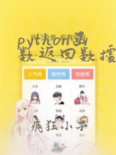 python函数返回数据类型
