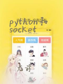 python和socket