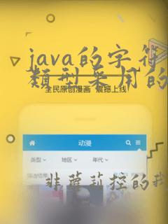 java的字符类型采用的是ascii编码