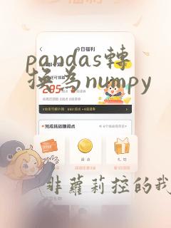 pandas转换为numpy
