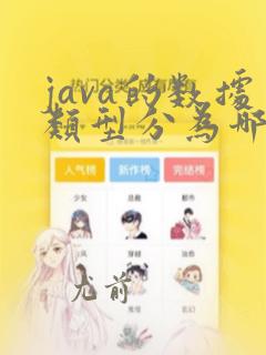java的数据类型分为哪两大类