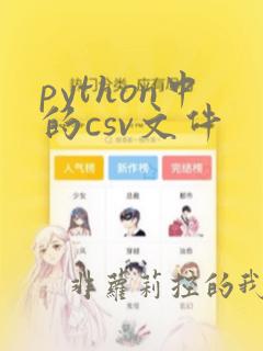 python中的csv文件