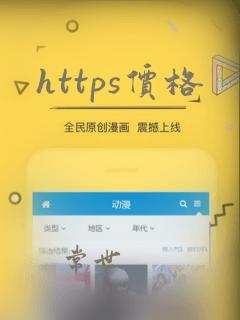 https价格