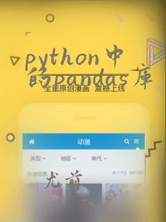 python中的pandas库