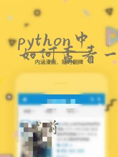 python中如何查看一个变量的数据类型
