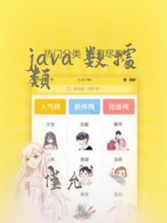 java 数据类