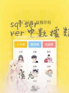 sql server中数据类型