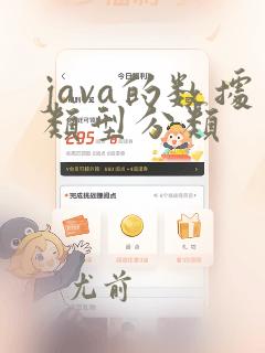 java的数据类型分类