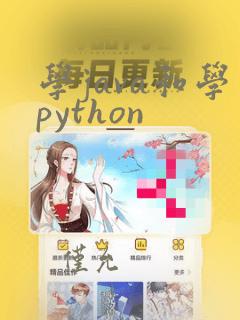 学java和学python