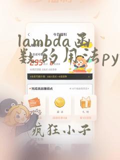 lambda函数的用法python