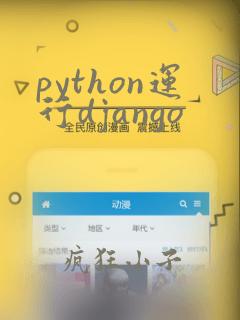 python运行django