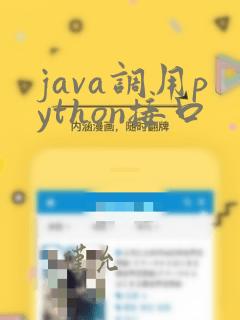 java调用python接口