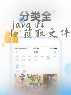 java file 获取文件类型