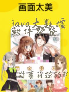 java大数据软件开发