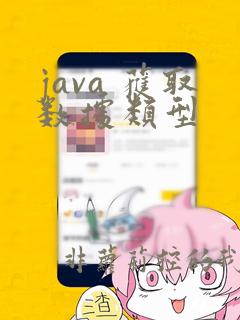 java 获取数据类型